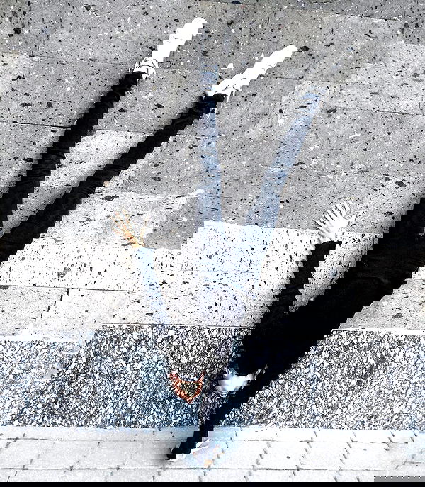 kkulakovaa image ~ Altpins