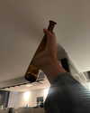 laurenhamden Altpins Profile Picture