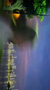 daisy_r_19 Altpins Profile Picture