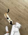 curlyfriesjazz Altpins Profile Picture