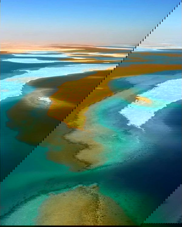 taylor.creeden taylor.creeden archive image