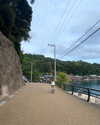 ll.lu1s Altpins Profile Picture