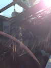 llinolinaa Altpins Profile Picture