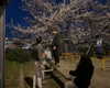 ellaailiff Altpins Profile Picture