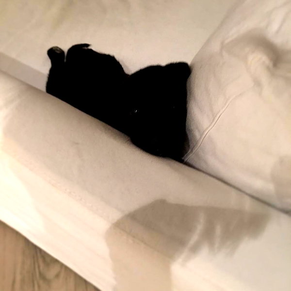 lilbieber instagram image archive image