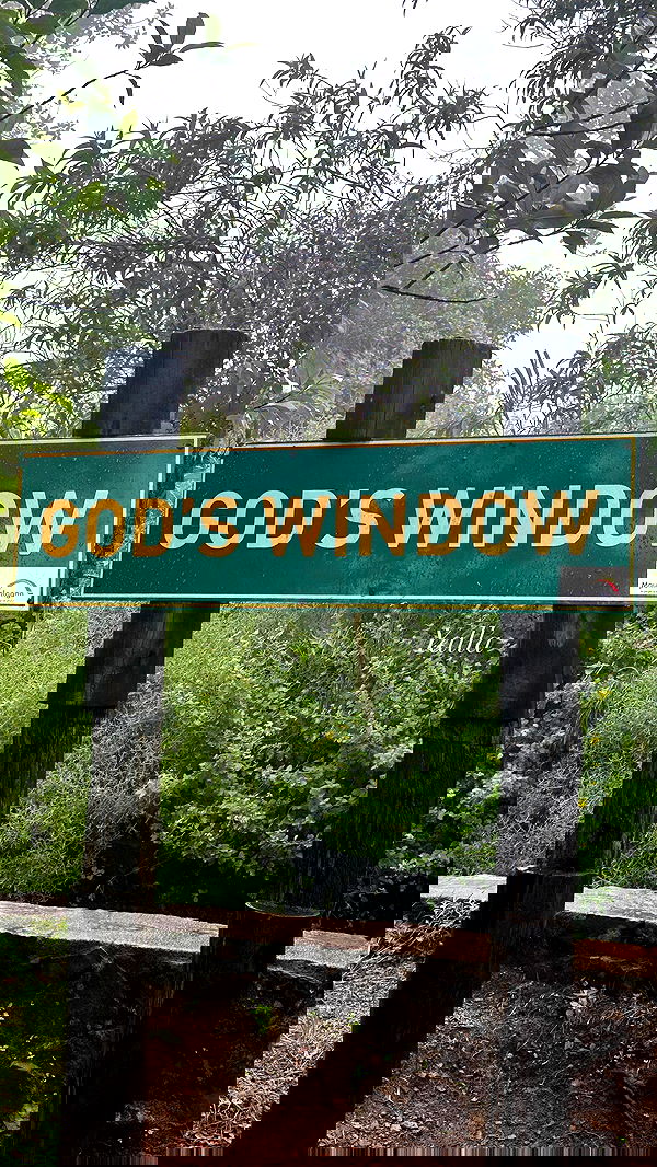 taylor.creeden taylor.creeden archive image