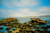 bugz4brainz Altpins Profile Picture