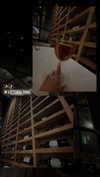 ilana.21 Altpins Profile Picture
