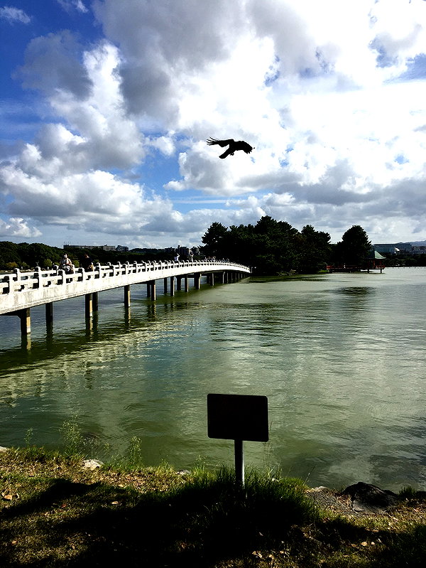 pskyng instagram image archive image
