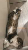 sonia_litvanchuk Altpins Profile Picture