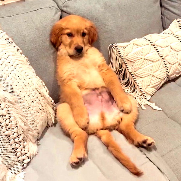 Archived image from @edenharper on Instagram