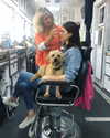 alexandradaddario Altpins Profile Picture