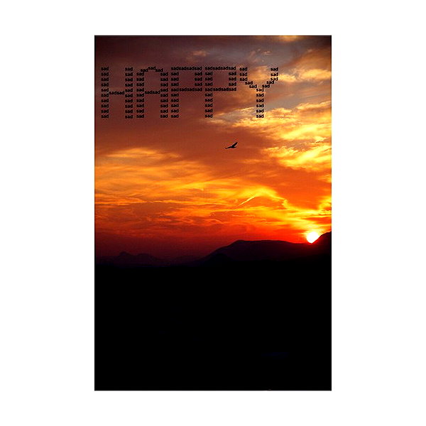 hallucineon instagram image archive image