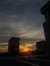e.shao_417 Altpins Profile Picture