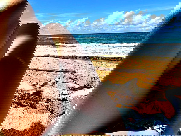 mosssaico mosssaico archive image