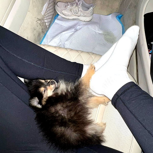 sssniperwolf instagram image archive image