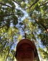 saramcfadyen_ Altpins Profile Picture
