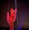 noa_blumenfeld Altpins Profile Picture