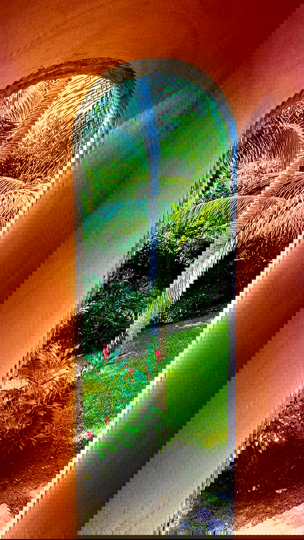 taylor.creeden taylor.creeden archive image