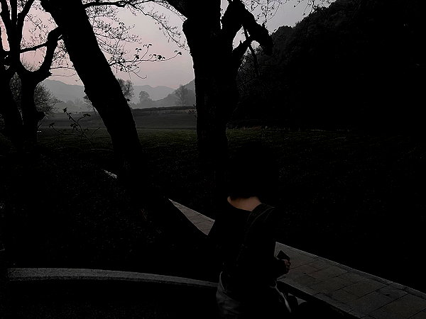 dwpolin instagram image archive image
