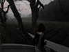 dwpolin Altpins Profile Picture