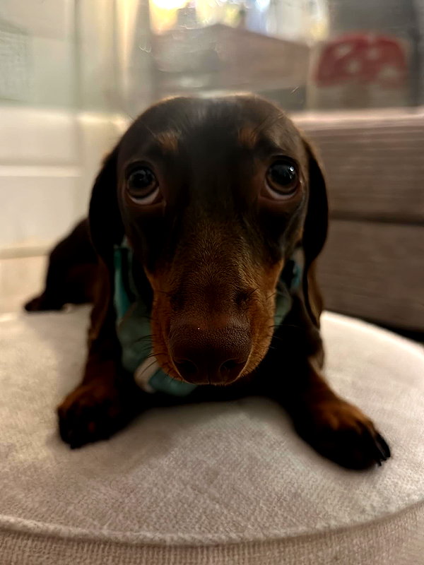 maya.keyy instagram image archive image