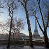 dualipa Altpins Profile Picture