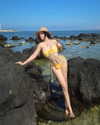quenhi.phamm Altpins Profile Picture