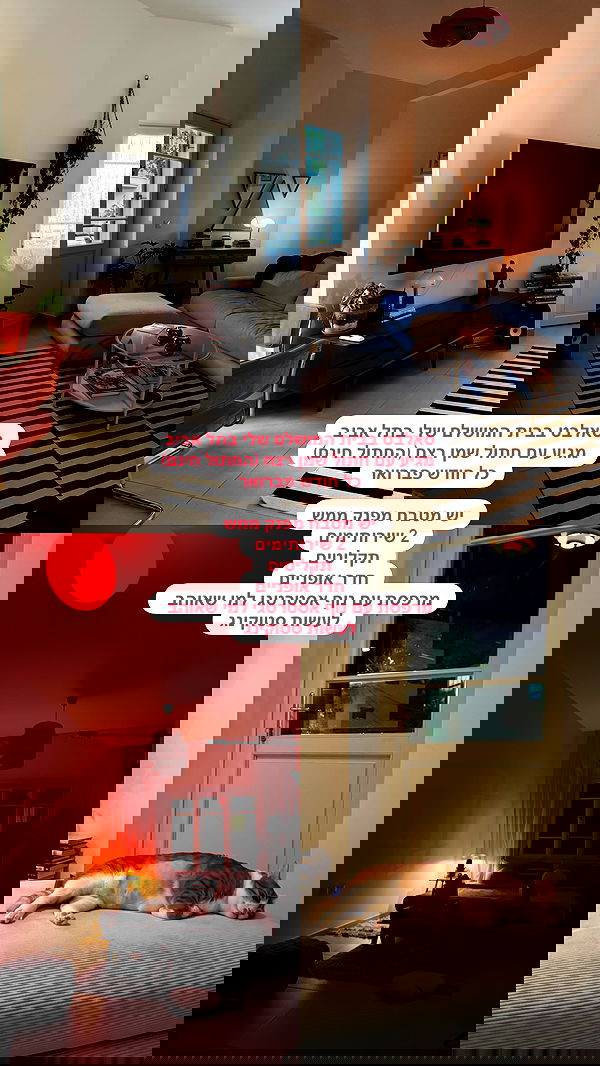 iambohema.v2 iambohema.v2 archive image