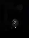 nyx_o_o_ Altpins Profile Picture