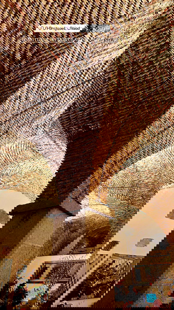 taylor.creeden taylor.creeden archive image