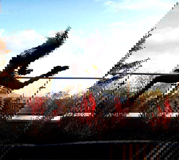 kkulakovaa image ~ Altpins