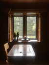 elizabethcampbelljones Altpins Profile Picture