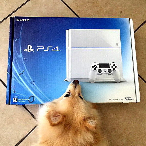 sssniperwolf instagram image archive image