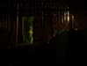 m1lkh8club Altpins Profile Picture