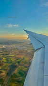 lia_ey99 Altpins Profile Picture
