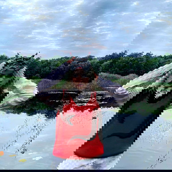 annfigmax image ~ Altpins