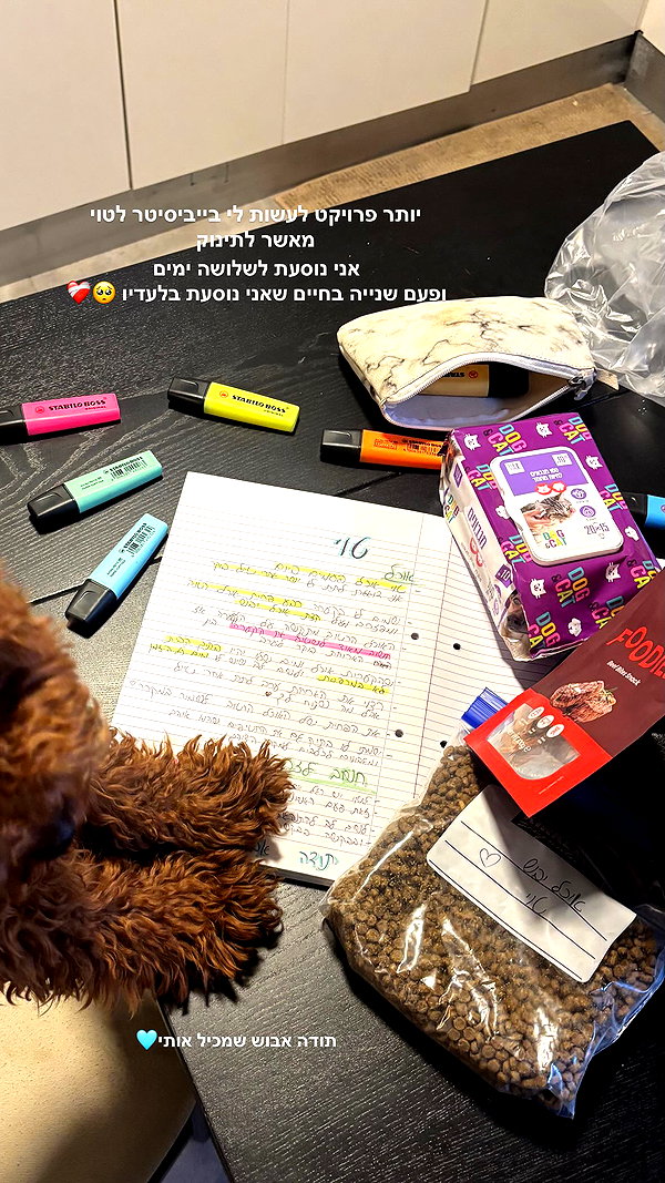 agam._.harel instagram image archive image