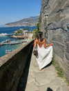 shirel.varol Altpins Profile Picture