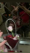moka997k.y Altpins Profile Picture