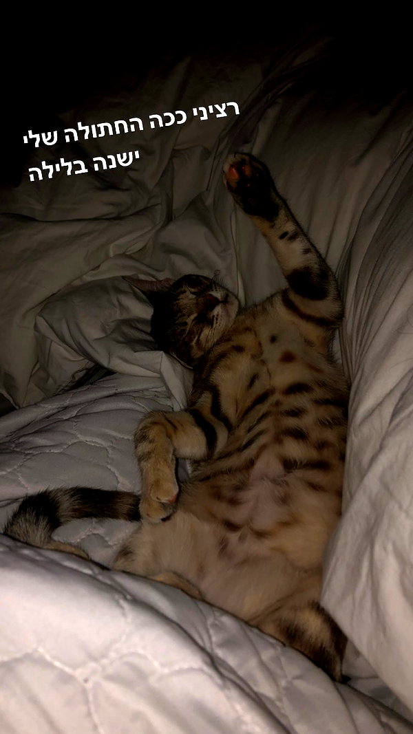 Archived image from @notchicore on Instagram