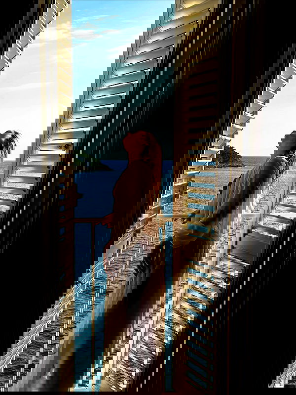 taylor.creeden taylor.creeden archive image