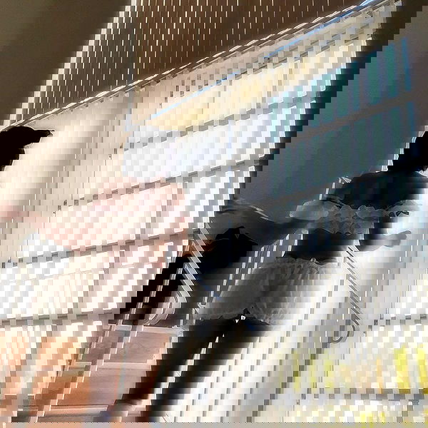 missnyxdawn missnyxdawn archive image