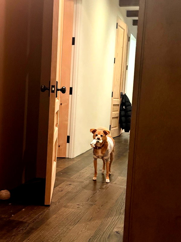 arianagrande instagram image archive image