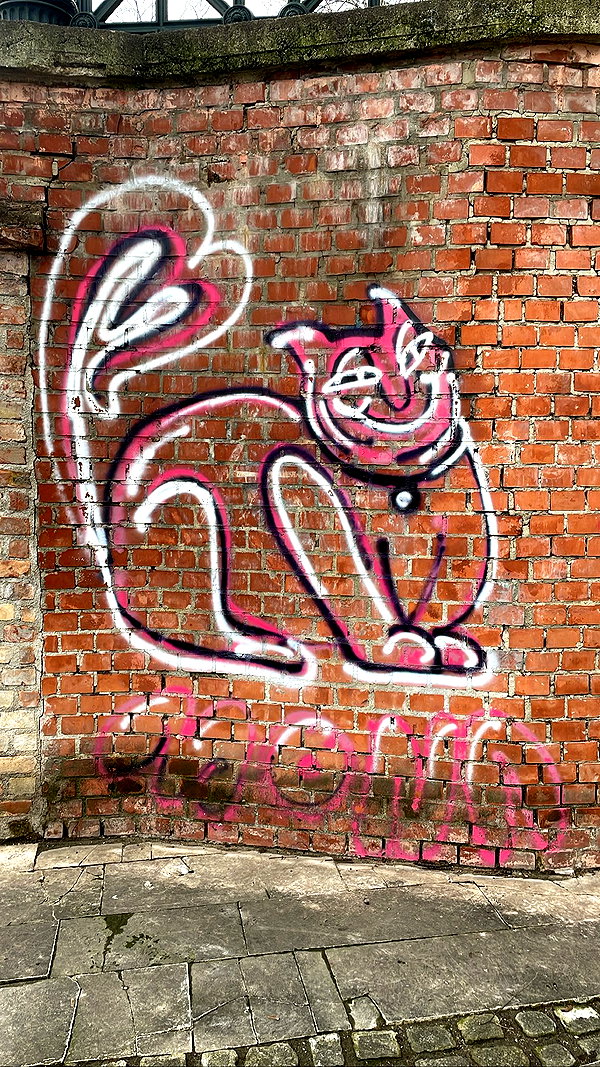 shakeddri shakeddri archive image