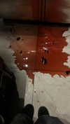 noy.razz Altpins Profile Picture