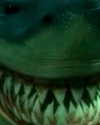 georgialeetwinn Altpins Profile Picture