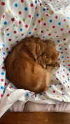 babynympho_archive Altpins Profile Picture