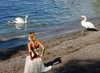 elizabethcampbelljones Altpins Profile Picture