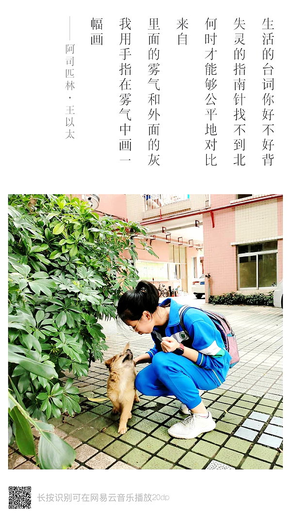 shulunc instagram image archive image